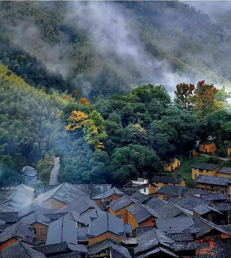 老人手抖是什么原因引起的怎么治？