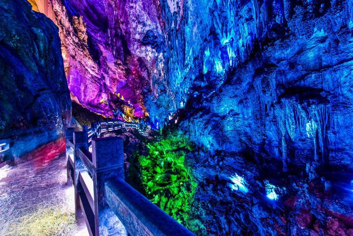 管好“摇钱树” 结出“致富果”